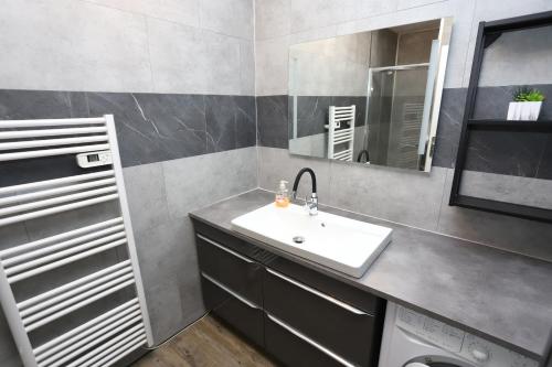 une salle de bain avec un lavabo et un miroir dans l'établissement Superbe appart cosy au ceur de St Cyprien, à Saint-Cyprien