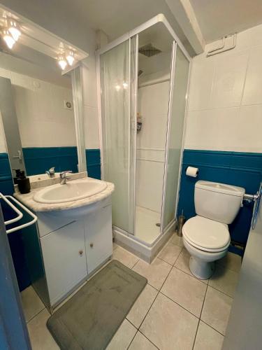 une salle de bain avec toilettes, lavabo et douche dans l'établissement Loftimeet, à Cornebarrieu