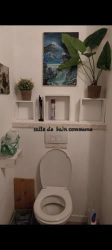 La salle de bains est pourvue de toilettes avec des plantes sur le mur. dans l'établissement Lac et montagnes en un clin d'oeil, à Duingt