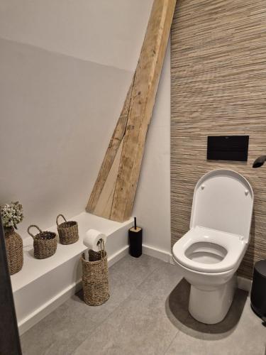 a bathroom with a white toilet in a room at Casa Tisaru in Lepşa