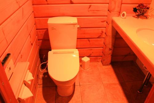 a bathroom with a toilet and a sink at 彩の宿虹 in Yamanakako