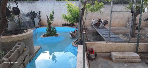 Bazén v ubytování Cozy House Oasis 15 min to airport & port, 35 min from Acropolis nebo v jeho okolí