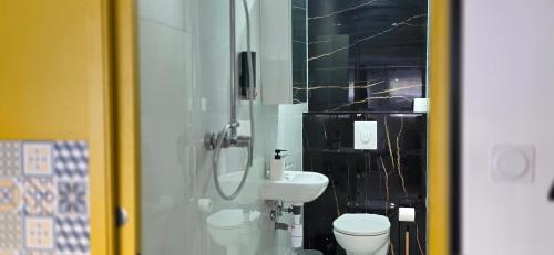 une salle de bain avec un lavabo, des toilettes et une douche dans l'établissement Le Rêve SPA Sauna, cinéma Colmar, à Muntzenheim