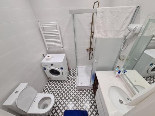 a small bathroom with a toilet and a washing machine at Cosy Apartment in the heart of old Tbilisi in Tbilisi City