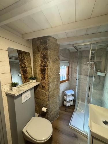 une salle de bain avec toilettes et douche en verre dans l'établissement Atypique & cosy Hyper-centre Lyon et Quais, à Lyon