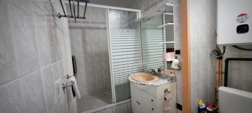 La petite salle de bains est pourvue d'une douche et d'un lavabo. dans l'établissement Escapade Marine Saint Cyprien, à Saint-Cyprien