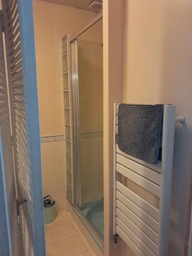 une douche avec une porte vitrée dans une salle de bain dans l'établissement Logis de Paty, à Lagny-sur-Marne