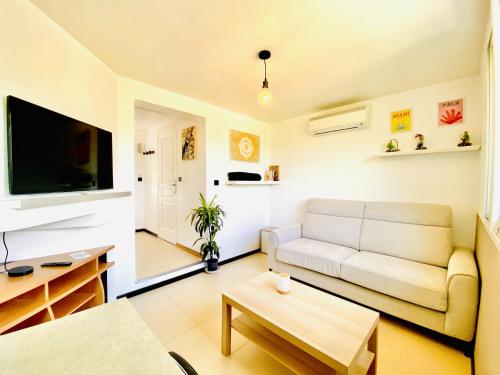 un salon avec un canapé et une télévision dans l'établissement À 1 voie piétonne de la plage, du centre et du port pour 1 à 4 personnes, à La Ciotat