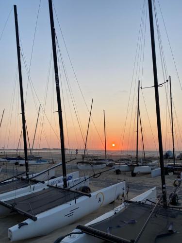 a group of sailboats parked in a marina at sunset at knokkeappart Studio 2 pers in Knokke-Heist