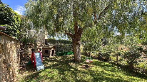 a large tree in a yard next to a fence at Villa Trappeto in Trappeto