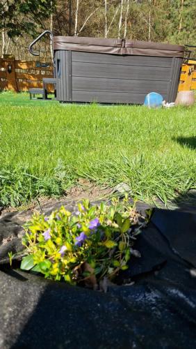 a garden with purple flowers in the grass at Harcówka in Miękisz Nowy
