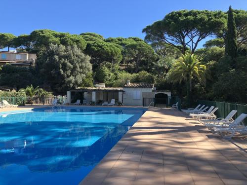 une grande piscine avec des chaises et des arbres dans l'établissement GIGARO - Terrasses et jardin à 5mn à pied de la plage - piscine & parking, à La Croix-Valmer