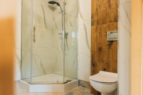 a shower stall in a bathroom with a toilet at Agro Domki Pod Jesionem in Kudowa-Zdrój