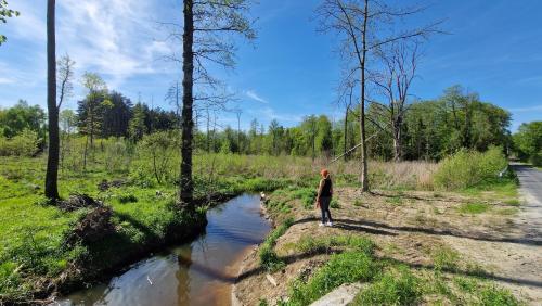a person standing next to a river with at Harcówka in Miękisz Nowy