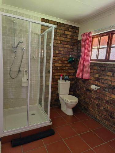 a bathroom with a toilet and a glass shower at African Shore Guesthouse in Denysville