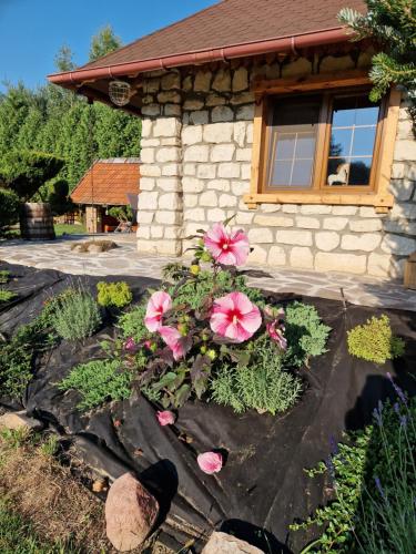 a house with pink flowers in the front yard at Harcówka in Miękisz Nowy