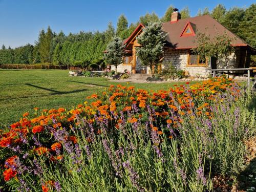 a field of flowers in front of a house at Harcówka in Miękisz Nowy