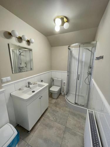 a bathroom with a shower and a sink and a toilet at Zajazd Arkadia in Siemiatycze