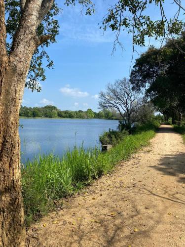 a dirt road next to a body of water at Tiara Elephant Lodge in Habarana