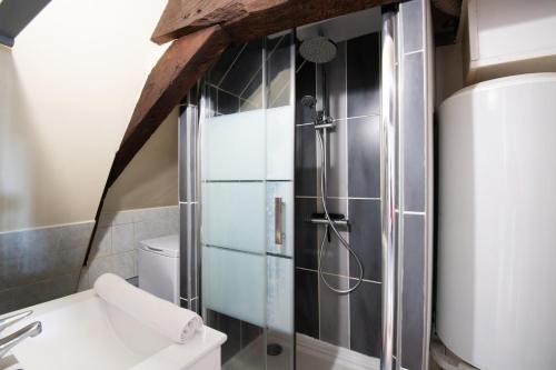 une salle de bain avec une douche avec des toilettes et un lavabo dans l'établissement Charming Duplex in Lille city center: 4 people, à Lille