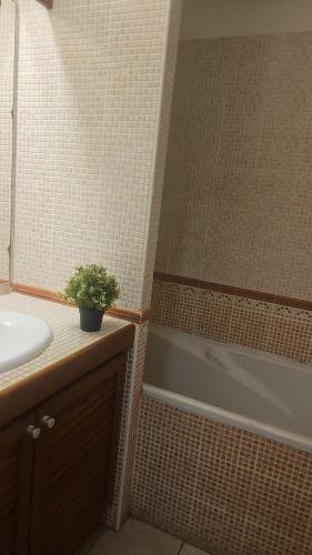 une salle de bain avec un lavabo, une baignoire et une douche dans l'établissement LE BERYL - Proche CHU et Saint-Denis centre, à Saint-Denis