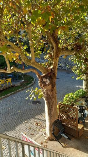Fotografie z fotogalerie ubytování Gite chez Anne So v destinaci Montpezat-sous-Bauzon