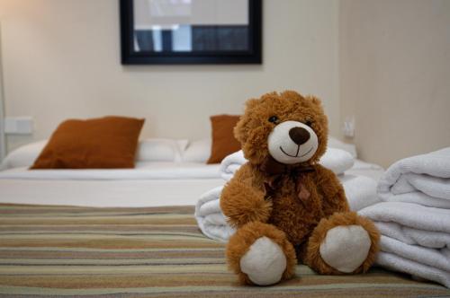 Osito Hub - Campoamor