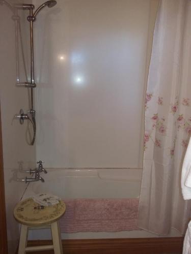 y baño con bañera y ducha con taburete. en Bumblebee Cottage, en Greytown