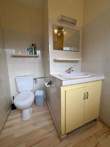 une salle de bain avec toilettes et lavabo dans l'établissement StudiosMichel apt 16 balcon thermes 400m à pied, à Cazaubon