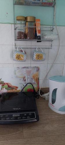Cuisine ou kitchenette dans l'établissement Grany's Retro Guesthouse near Budapest AirPort