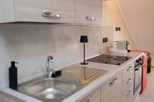 a kitchen with a sink and a counter top at Piazza Vittorio Central Suite in Turin