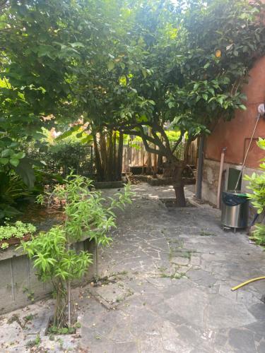 Villetta Garbata photo 12