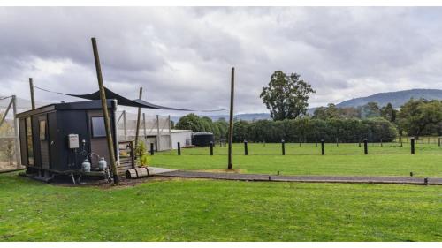 a shed in the middle of a field with a fence at The Junction by Tiny Away in Yarra Junction