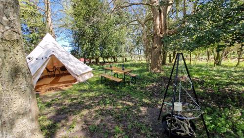 a tent and a picnic table in a forest at Hesede Hovedgård in Haslev