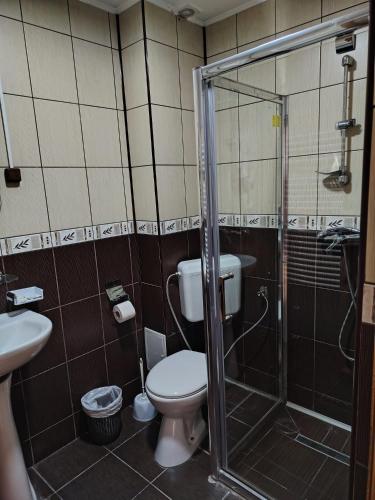 a bathroom with a toilet and a glass shower at Vila Dealul Sasului in Dâmbovicioara