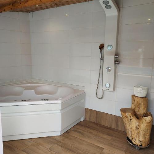 a white tub in a bathroom with a shower at Casa Pejão Do Paraíso in Castelo de Paiva
