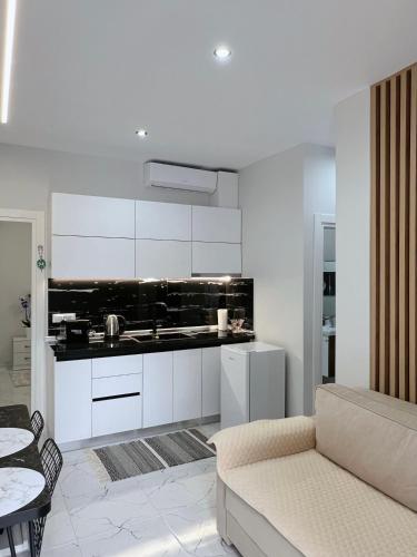 White and Cozy Apartment