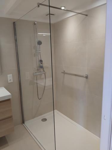 une douche avec une porte vitrée dans une salle de bain dans l'établissement Bel appartement pour 6 personnes avec vue sur le Golfe de St Tropez, à Saint-Raphaël