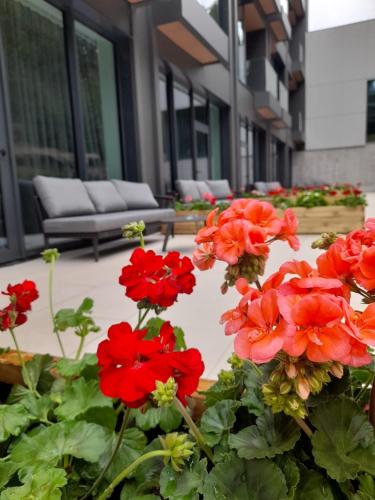 a group of red flowers in front of a building at Hotel Pestera Wellness & Spa in Sinaia