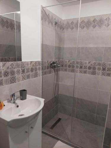 a bathroom with a shower and a sink at Casa Valea Arefului in Arefu