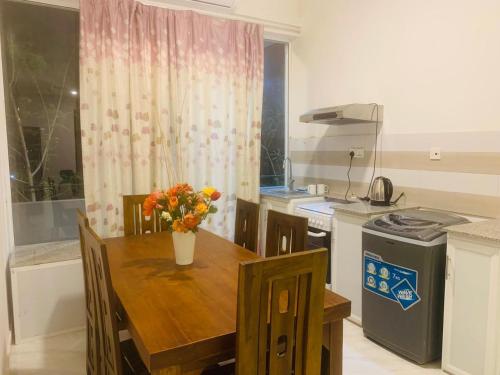 Kuchyň nebo kuchyňský kout v ubytování Homestay