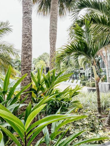 a group of palm trees and plants in a yard at Coco Key Hotel & Water Park Resort in Orlando