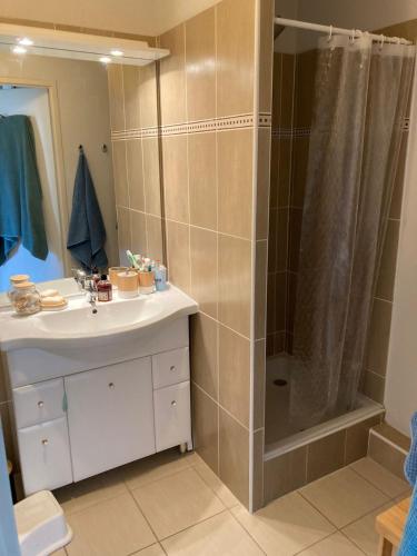 une salle de bain avec un lavabo et une douche dans l'établissement Appartement cosy au calme à Léon, à Léon