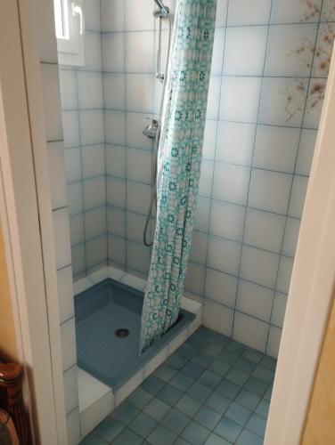 une douche avec un rideau de douche dans une salle de bain dans l'établissement Centre Finistère, toutes les côtes et lieux touristiques à moins d'une heure !, à Pleyben