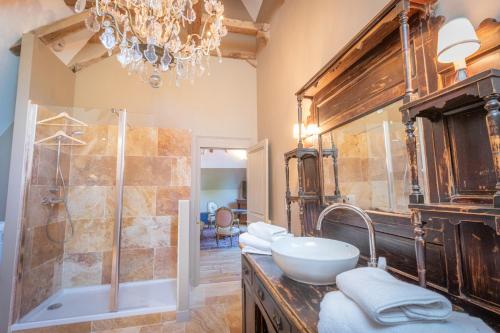 布尔日Le Château du Sollier - Charme calme et confort climatisation à 5mn du peage的一间带水槽、淋浴和吊灯的浴室
