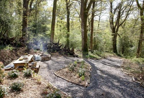 Φωτογραφία από το άλμπουμ του The Fishing Lodge σε Kings Nympton