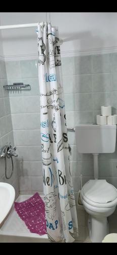 a bathroom with a toilet and a shower curtain at K SANTIS STUDIOS in Pefki