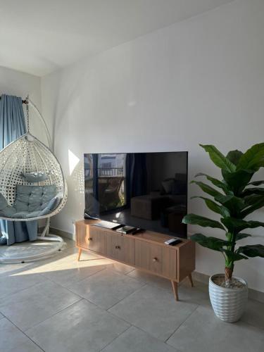 ein Wohnzimmer mit einem TV und einer Topfpflanze in der Unterkunft Marassi in Dawwār Abū Maḩrūs