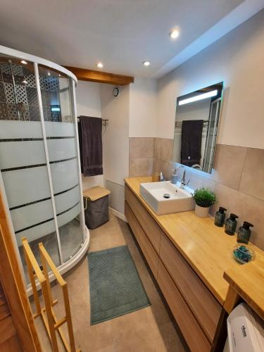 une salle de bain avec un lavabo et un miroir dans l'établissement Hidden Gem in Historic Center Ecusson, à Montpellier