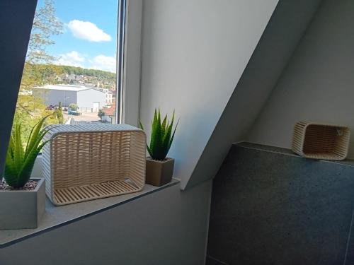 a balcony with potted plants and a window at Stellas Monteurwohnungen in Crimmitschau